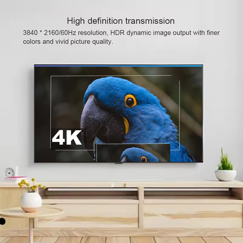 4K 60Hz DisplayPort naar HDMI  - Hdmi Cable recensie en prijs